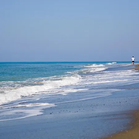 Appt 311 Heaven Beach-paseo-all Year Heated Pool-free Bikes