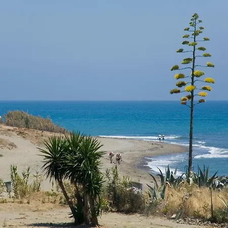 Appt 311 Heaven Beach-paseo-all Year Heated Pool-free Bikes Appartamento *