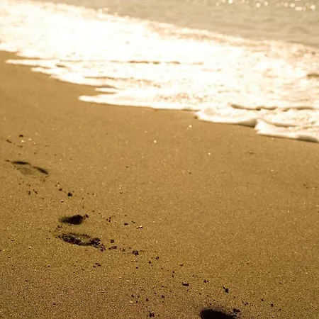 Appt 311 Heaven Beach-paseo-all Year Heated Pool-free Bikes Апартаменты Эстепона