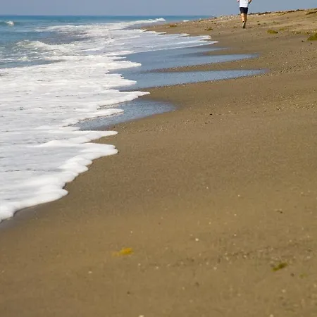 Апартаменти Appt 311 Heaven Beach-paseo-all Year Heated Pool-free Bikes *