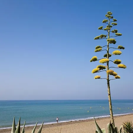 Апартаменти Appt 311 Heaven Beach-paseo-all Year Heated Pool-free Bikes