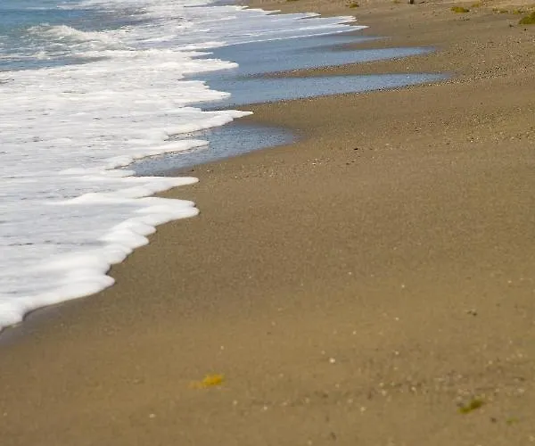 Apartment Appt 311 Heaven Beach-paseo-all Year Heated Pool-free Bikes *