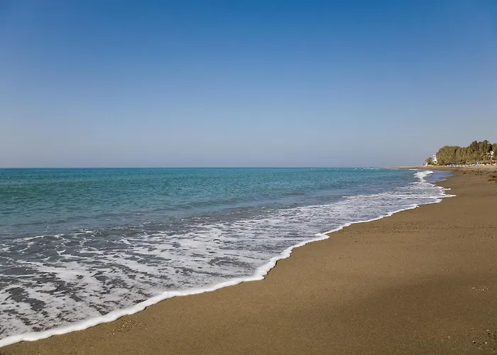 Appt 311 Heaven Beach-paseo-all Year Heated Pool-free Bikes Apartment