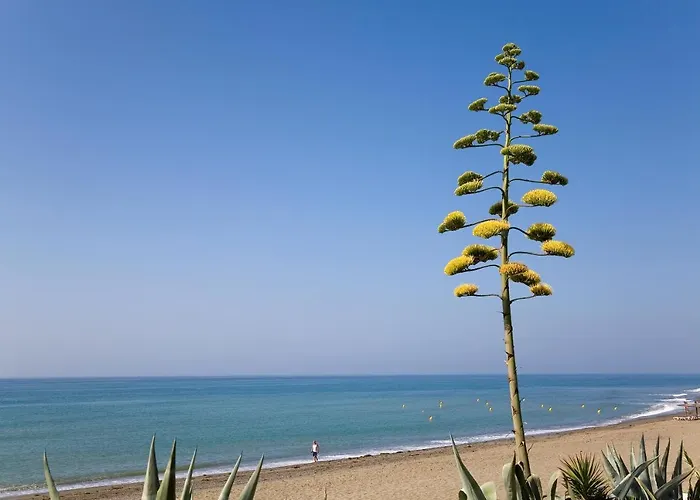 Apartment Appt 311 Heaven Beach-paseo-all Year Heated Pool-free Bikes