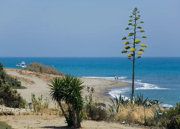 Appt 311 Heaven Beach-paseo-all Year Heated Pool-free Bikes Apartment *