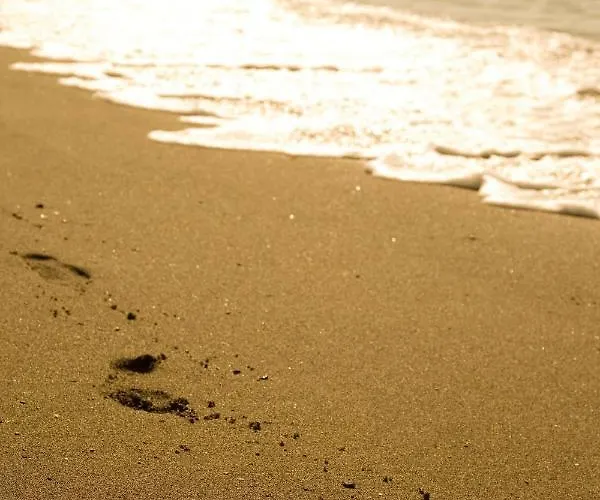 Appt 311 Heaven Beach-paseo-all Year Heated Pool-free Bikes Apartment Estepona